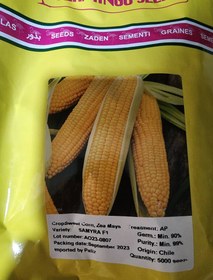 تصویر بذر ذرت شیرین سمیرا Sweet Corn SAMYRA F1 Flamingo Seeds بذر ذر