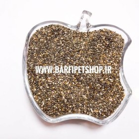 تصویر دانه چیا 