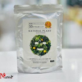 تصویر ماسک پودری لاتکسی بوتانیکال Botanical latex powder mask