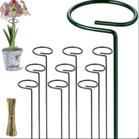 تصویر پایه نگهدارنده گل 6 عددی 