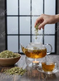 تصویر برگ آویشن 