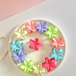 تصویر کلیپس پلومریا شمعی 