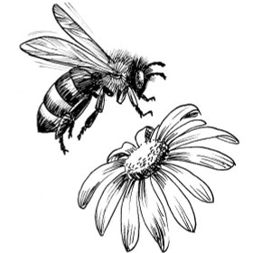 تصویر کارت هوشمند (NFC) beekeeper 1177 