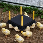 تصویر مادر مصنوعی باغی 