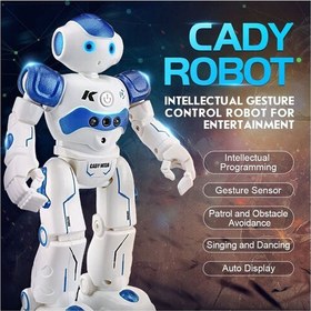 تصویر ربات کنترلی مدل CADY ROBOT R2 