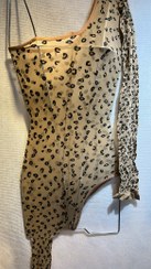 تصویر فیشنت پلنگی 