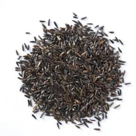 تصویر زیره سیاه کد 70 