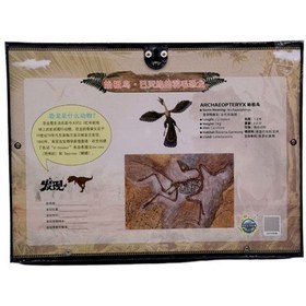 تصویر آزمایشگاه فسیل (Fossil Lab) 