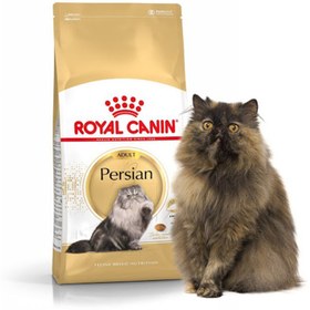 تصویر غذای خشک گربه بالغ پرشین رویال کنین 2 کیلوگرم Royal Canin Persian Adult Cat 