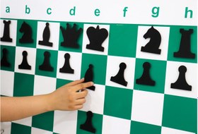 تصویر مهره های مغناطیسی شطرنج 