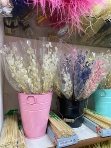 تصویر فروشگاه گلستونک