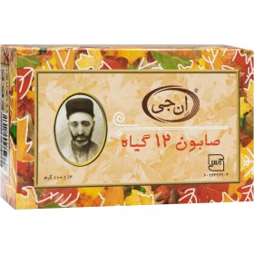 تصویر صابون 12 گیاه NG کپی 