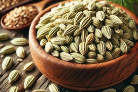 تصویر رازیانه - پاکت پلاستیکی / 100g / دان تمیز fennel