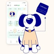 تصویر جی پی اس و ردیاب سگ 