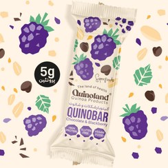 تصویر میان وعده سالم کینوبار پروتئینی شکلات و شاتوت بسته 4 عددی 