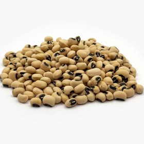 تصویر لوبیا چشم بلبلی 