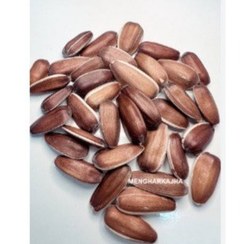 تصویر تخمه آفتابگردان ریز قرمز 