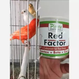 تصویر رنگدانه قرمز قناری و سهره Red Factor پینتا ایتالیا- 10 گرمی 