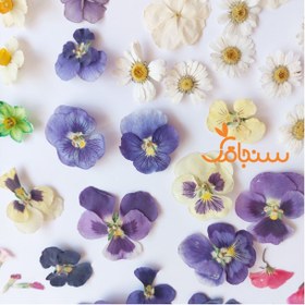 تصویر پک ۱۰۰ عددی گل خشک درجه ۲ 