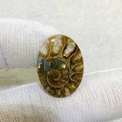 تصویر نگین آمونيت سايز 18*24 ميلی‌متر 