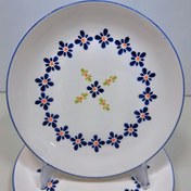 تصویر بشقاب پلو خوری گل آبی 