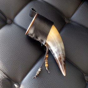 تصویر جام وایکینگی طرح رگنار 