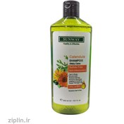 تصویر شامپو سر و بدن کودک کالاندولا سان وی 300 میلی لیتر Sunway Calendula Shampo 300Ml