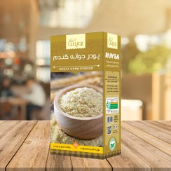 تصویر پودر جوانه گندم رویسا ۲.۱ کیلوگرم 