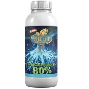 تصویر کود فسفر بالا شوک ۸۰ درصد حجم ۱ لیتر 