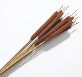 تصویر گل خشک لوئی 