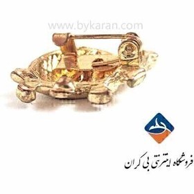 تصویر سنجاق سینه 