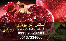 تصویر اسانس انار پودری 