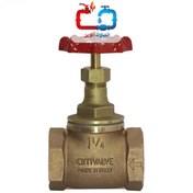 تصویر شیر فلکه سوزنی سیم ایتالیا - 1/2 2 اینچ / C200 Globe Valve