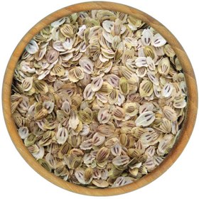 تصویر گلپر درشت 