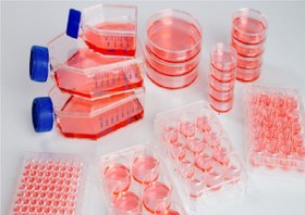 تصویر انجام کشت سلول cell culture cell culture