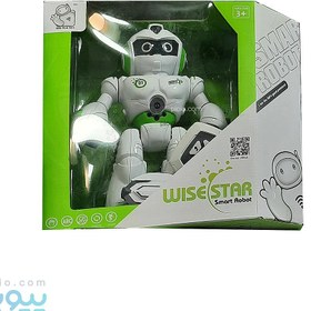 تصویر ربات کنترلی مدل WISE STAR 