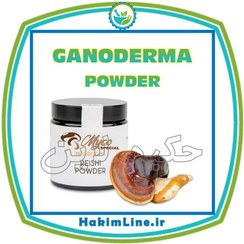 تصویر پودر ارگانیک قارچ گانودرما GANODERMA – وزن 100 گرم (ضمانت اصالت کالا) 