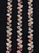 تصویر ریسه صدفی 50 سانتیمتری shells