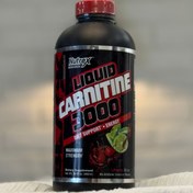 تصویر ال کارنیتین مایع ناترکس ۳۰۰۰ ظرفیت ۴۸۰ گرم 