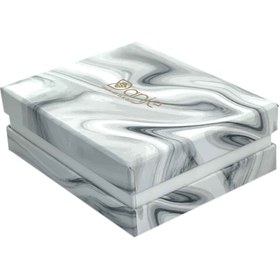 تصویر جاسوئیچی دی 