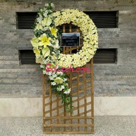 تصویر تاج گل شکیب 