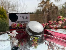 تصویر صابون ضد جوش جلبک 