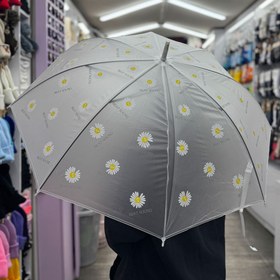 تصویر چتر بابونه 