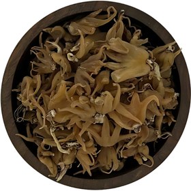 تصویر ثعلب پنجه - 150 گرم 