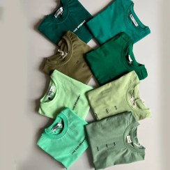 تصویر تیشرت سبز نیلا 