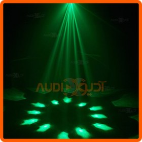 تصویر مووینگ زنبوری BEE 