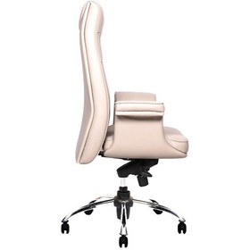 تصویر صندلی مدیریتی لیو - M81 