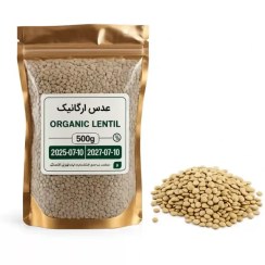 تصویر عدس ارگانیک 