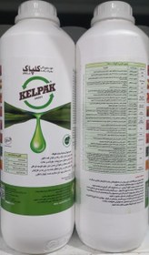 تصویر جلبک کلپاک KELPAK