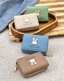 تصویر کیف پول بانی کد 310 